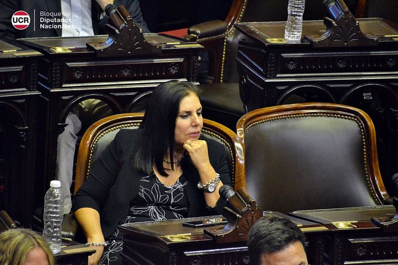 La actual diputada nacional Gabriela Lena encabezará el bloque de diputados provinciales de Juntos por el Cambio en Entre Ríos.