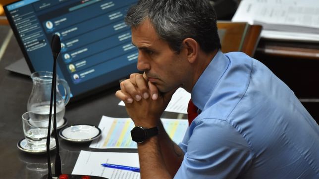 Martín Menem, durante el debate de la ley ómnibus.&nbsp;