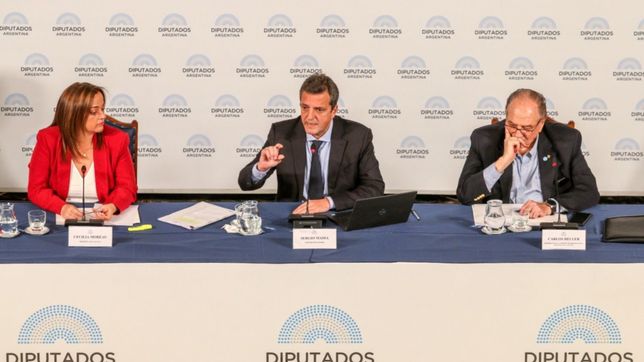 tras el regreso de massa, la ley de humedales se empantano en diputados