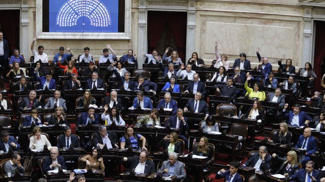 Diputados aprobó la emergencia para Bahía Blanca. 