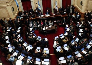 Con un debate exprés, el Senado sancionará la emergencia alimentaria