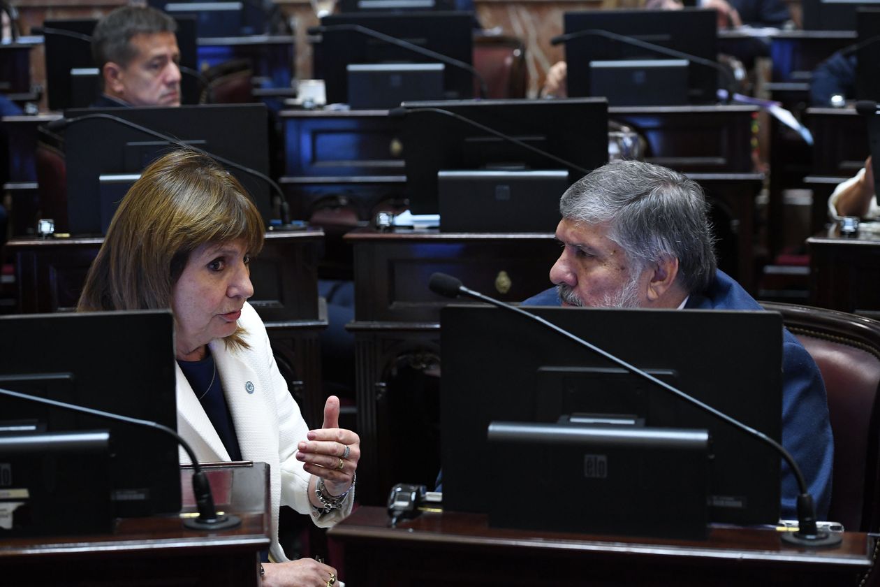 Patricia Bullrich y José Mayans, durante una sesión en el Senado.