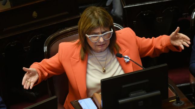 Patricia Bullrich, en el debate de la reforma laboral.&nbsp;