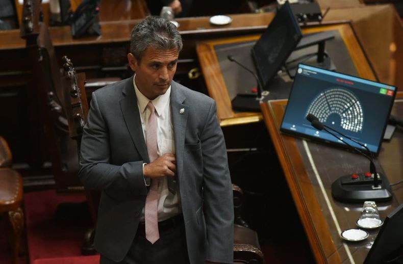 Martín Menem, presidente de la Cámara de Diputados.