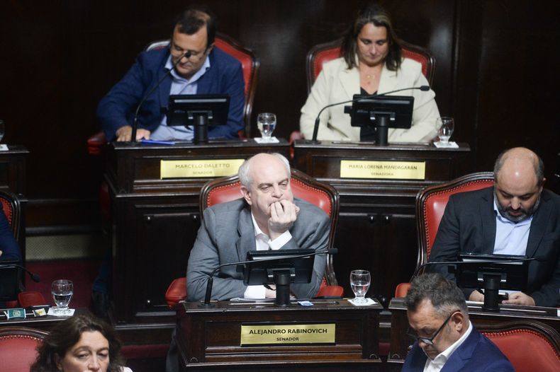 Alejandro Rabonovich, jefe del bloque PRO en el Senado.