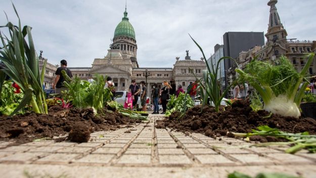 Un sistema que produce mercancías y no alimentos