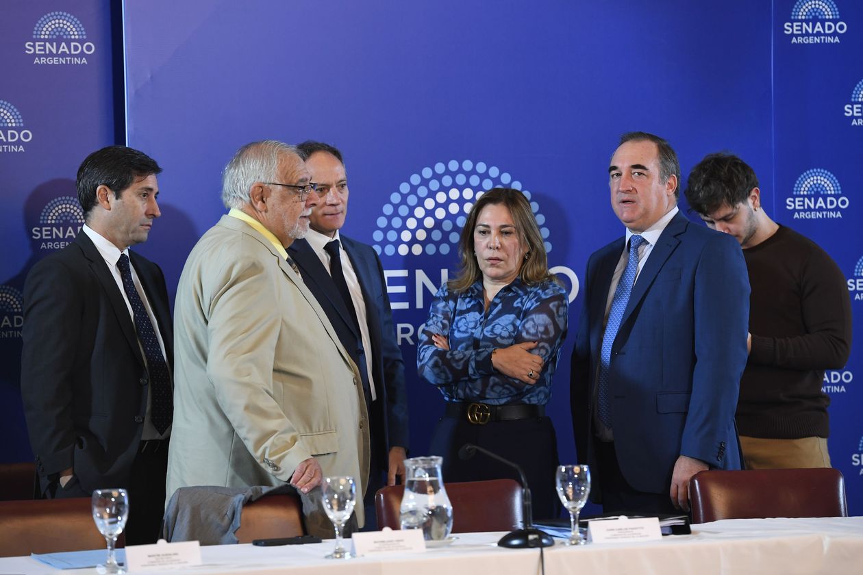 Juan Carlos Pagotto,&nbsp; en la Comisión de Acuerdos, donde se tratan los pliegos de Mahiques.&nbsp;