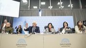 El bloque La Libertad Avanza, durante el plenario de Malvinas.&nbsp;