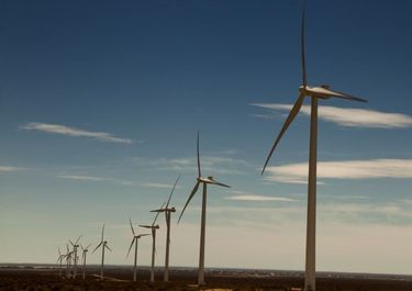 El Parque Eólico que está ampliando Madanes Quintanilla para equilibrar la balanza de la generación energética para su planta de Puerto Madryn