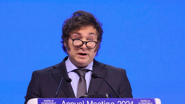 Javier Milei en Davos (Foto: NA)
