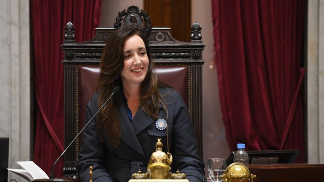 villarruel, la cobos que se convirtio en heroina de milei