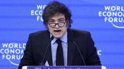 milei cargo contra kicillof y ratifico sus polemicos dichos sobre ideologia de genero y pedofilia