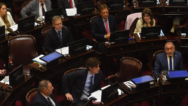 El bloque de la UCR en la sesión del Senado que trató el DNU