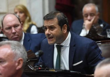 Oscar Herrera Ahuad, jefe del bloque de Hugo&nbsp;Passalacqua.&nbsp;