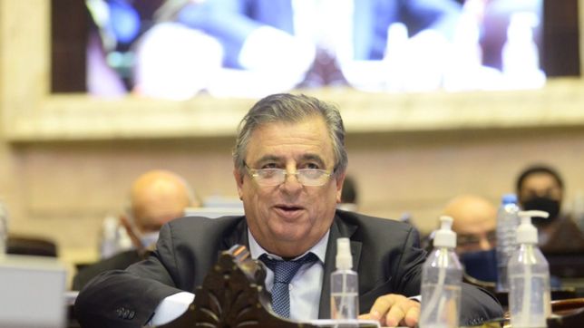 la ucr, con proyecto propio para reformar el consejo de la magistratura