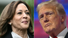 ¿Kamala Harris o Donald Trump? Nada cambia demasiado para la Argentina. ¿Kamala Harris o Donald Trump? Nada cambia demasiado para la Argentina.