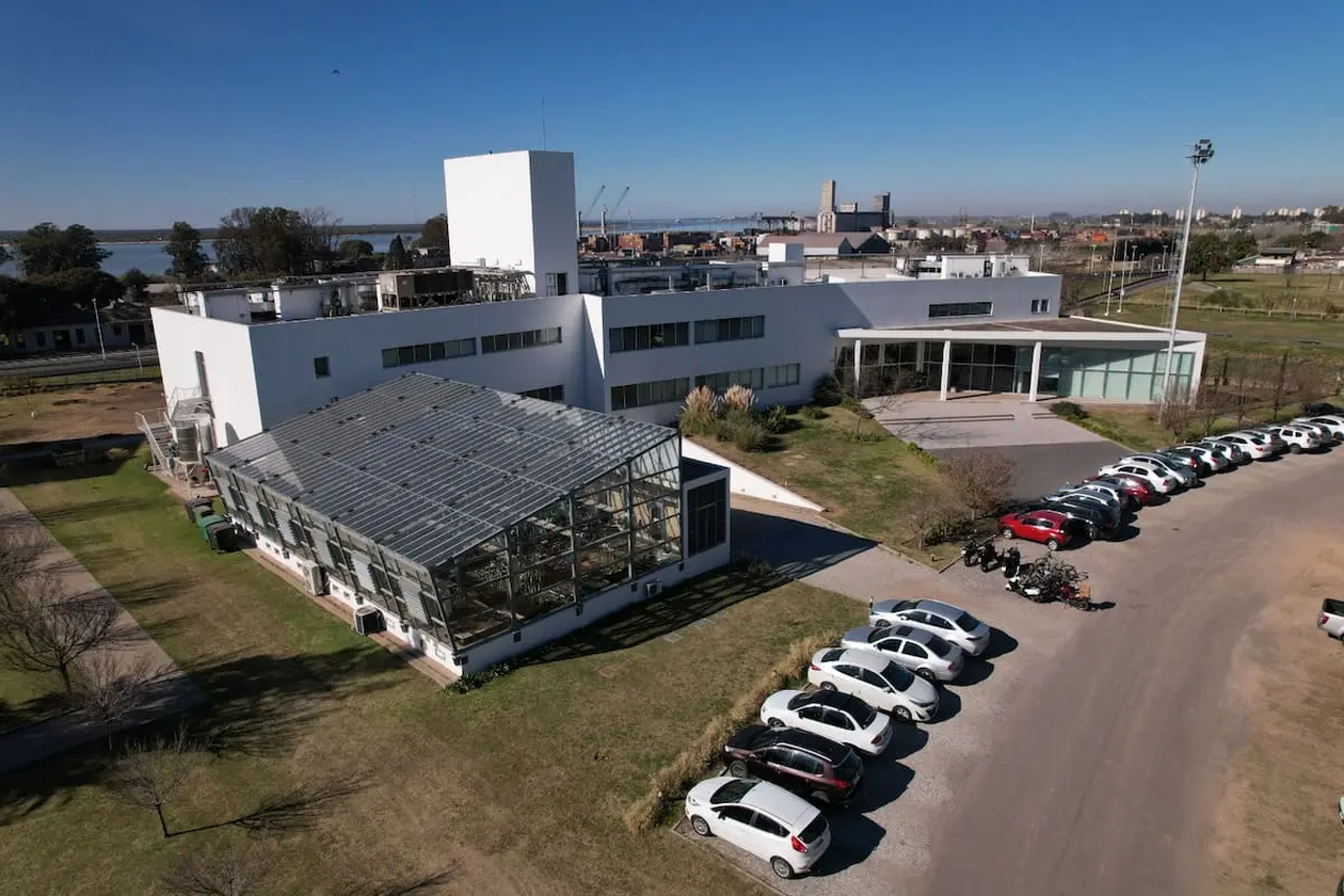 Denunciaron por una presunta estafa millonaria a una exdirectiva de Bioceres, la biotecnológica de Santa Fe.