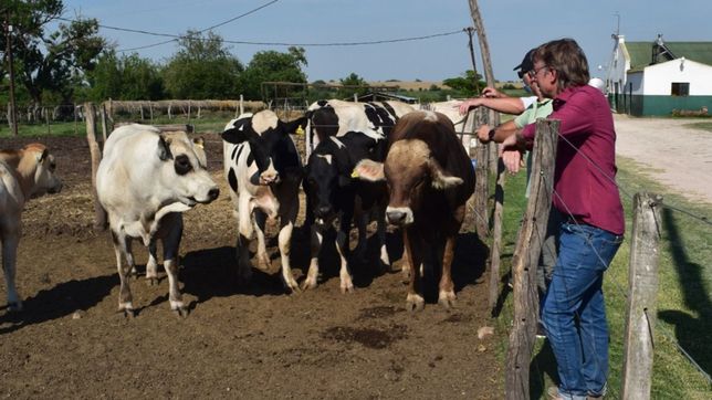 el tambero peronista para el gabinete campo-friendly de massa