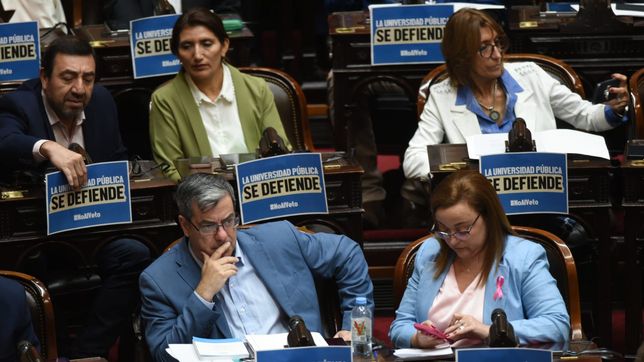 Germán Martínez, de UP, intentó derogar el DNU clave de Javier Milei. 