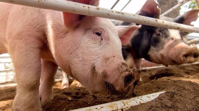 santa cruz: desde cambiemos se plantan contra una importante medida de buryaile