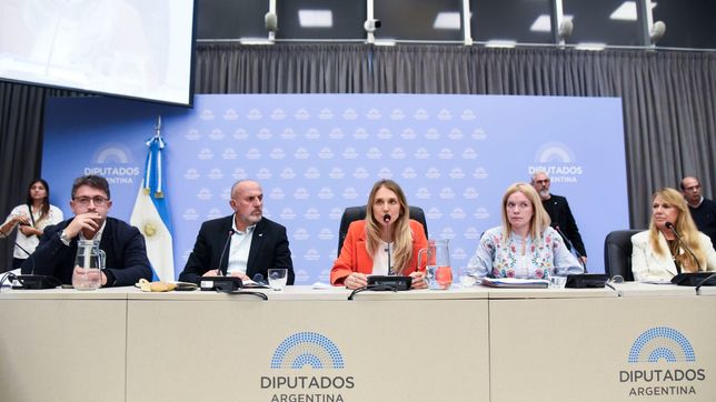 Gabriela Brower de Koning, al frente del debate sobre la movilidad de las jubilaciones.&nbsp;