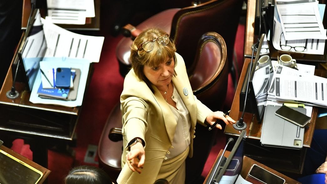Patricia Bullrich, durante la discusión del Presupuesto.&nbsp;