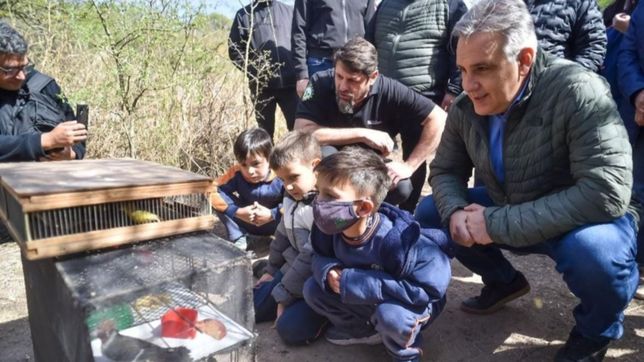 llaryora echa a volar su campana: acto, focus group y la mano de schiaretti