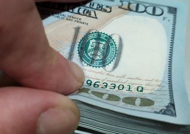 El blue ladra, pero no muerde