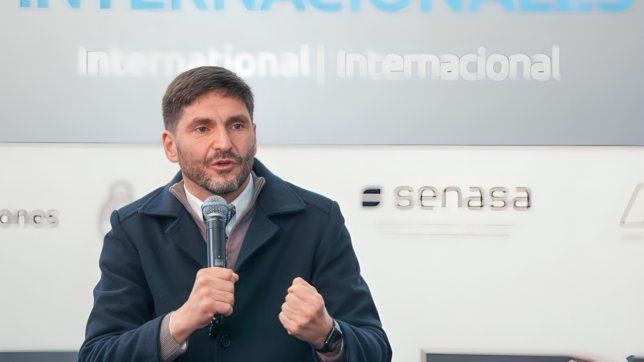 Maximiliano Pullaro, uno de los gobernadores que pelea por recursos con la Casa Rosada, cruzó al CEO de Mercado Libre.
