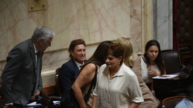 Diputados de provincias Unidas, claves en la votación del DNU 70/23