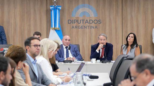 José Peluc y Nicolás Mayoraz (La Libertad Avanza), diputados que representan al Gobierno en la reforma de la ley de glaciares.&nbsp;