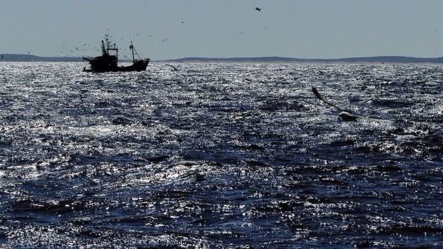 preocupa el posible avance de actividad offshore en el golfo san matias