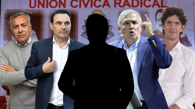 La UCR definirá el viernes al próximo presidente del Comité Nacional.&nbsp;