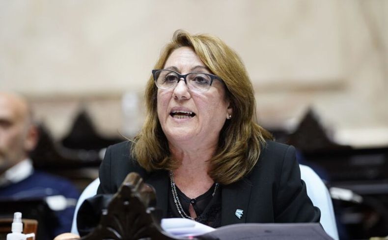 La presidenta del Partido Socialista Mónica Fein.