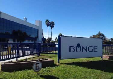 Investigan si Bunge evadió 100 millones de dólares con exportaciones fantasmas