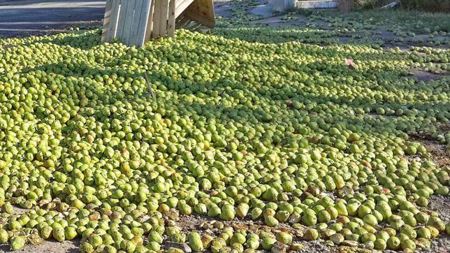 despues de exigir ayuda de nacion, gutierrez apuesta a un cambio productivo