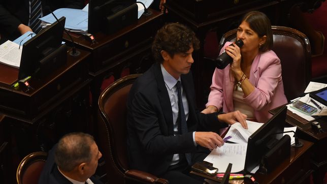 Martín Loustau (UCR) y Guadalupe Tagliaferri (PRO).&nbsp; Dos críticos de la ley ómnibus de Javier Milei.&nbsp;