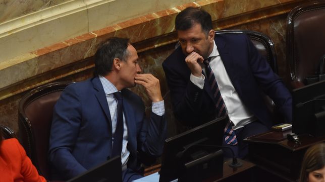 ley omnibus xs: aliados piden que el proyecto vuelva a diputados con correcciones