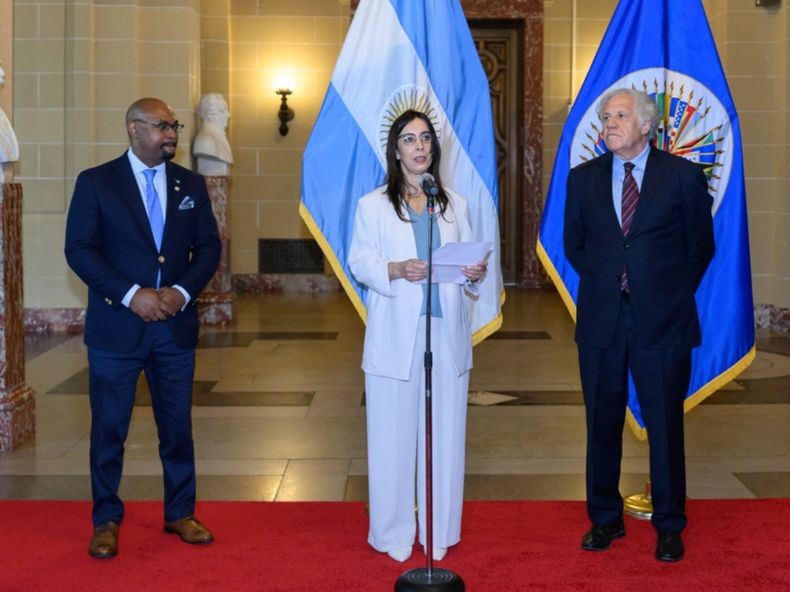 Sonia Cavallo, representante formal ante la OEA.