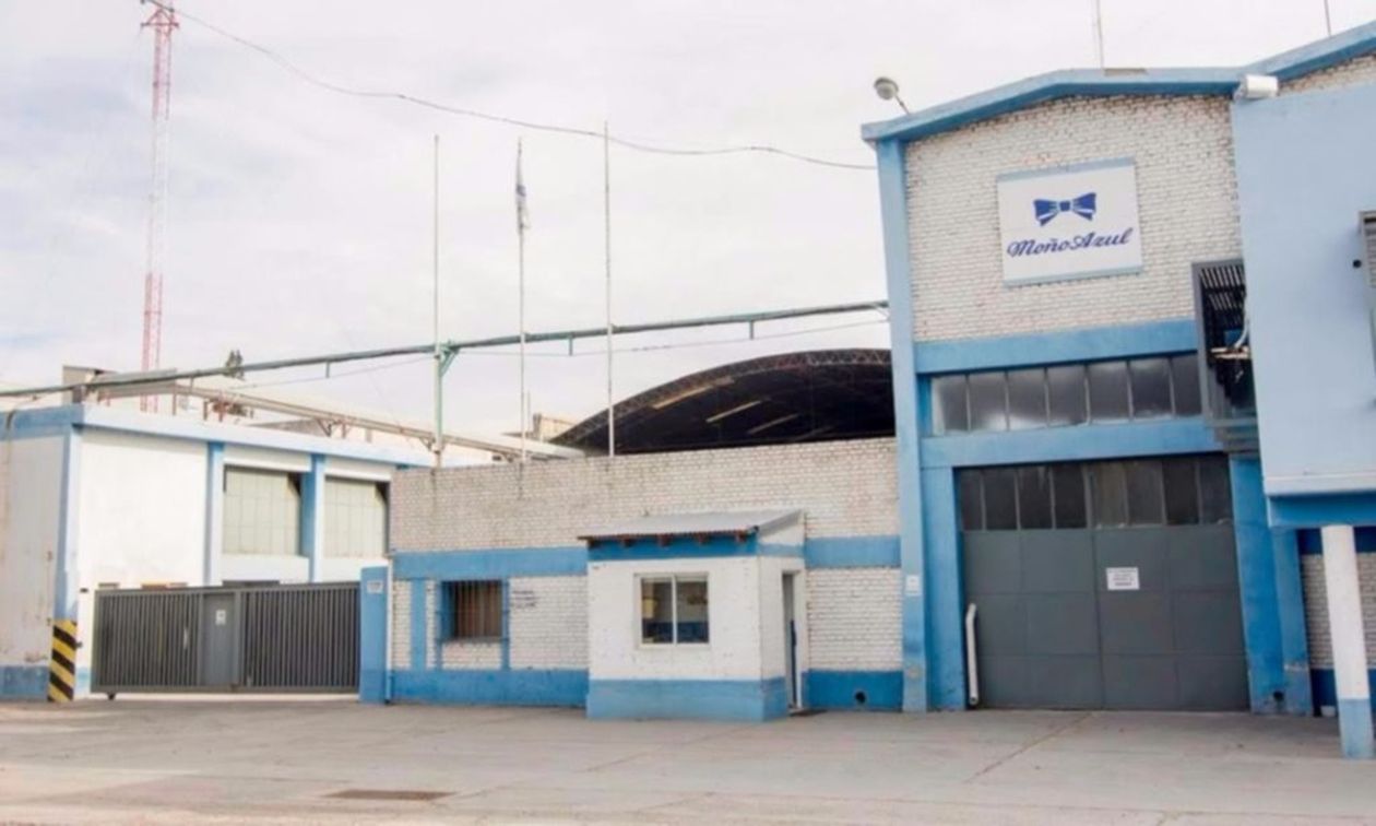 Moño Azul