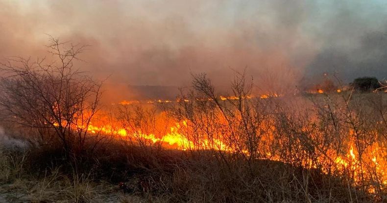 El fuego amenazó viviendas y arrasó con el bosque nativo.&nbsp;