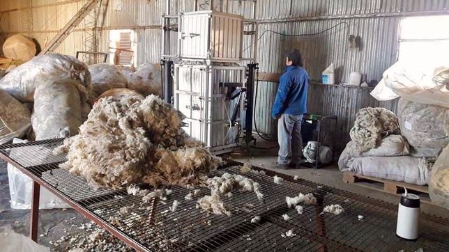 lana: buscan que no se cobren derechos de exportacion