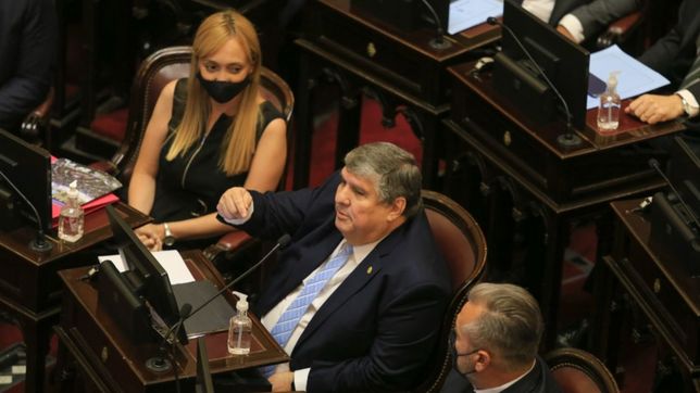 ianni y di tullio, espadas de la protesta testimonial cristinista en el senado