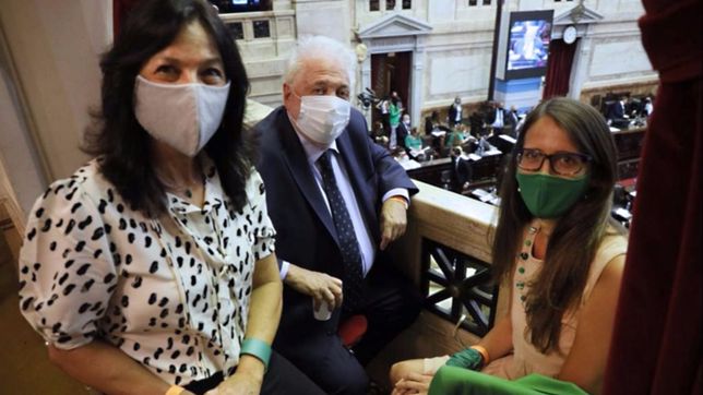 el gabinete de fernandez pide que el senado apruebe el aborto legal