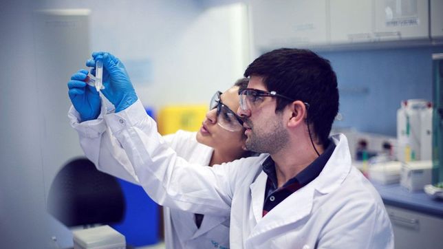 se realizara la primera feria de la economia del conocimiento