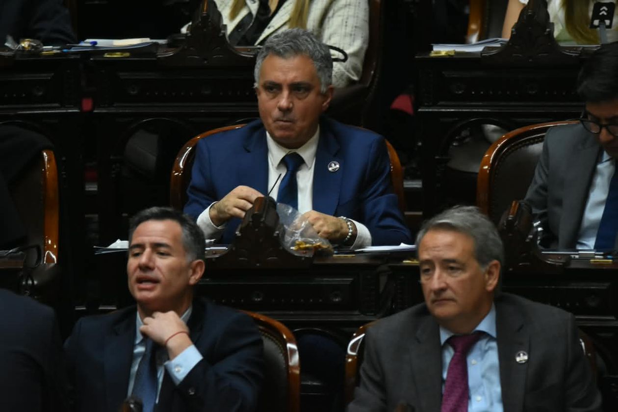 El bloque del Gobierno en la Cámara de Diputados.&nbsp;