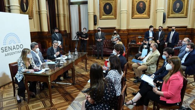 bienes personales: dictamen en mano, el fdt se prueba en el nuevo senado