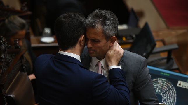 Martín Menem, referente de Javier Milei en el Congreso.