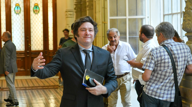 milei cedio lugares en la lista bonaerense para diputados y profundizo su pelea con kikuchi