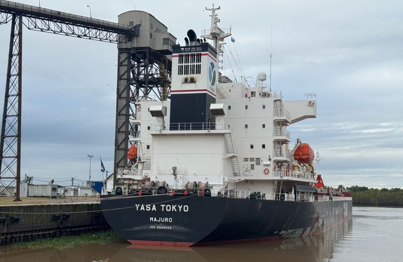 Puertos bonaerenses: el buque granero varado en San Pedro